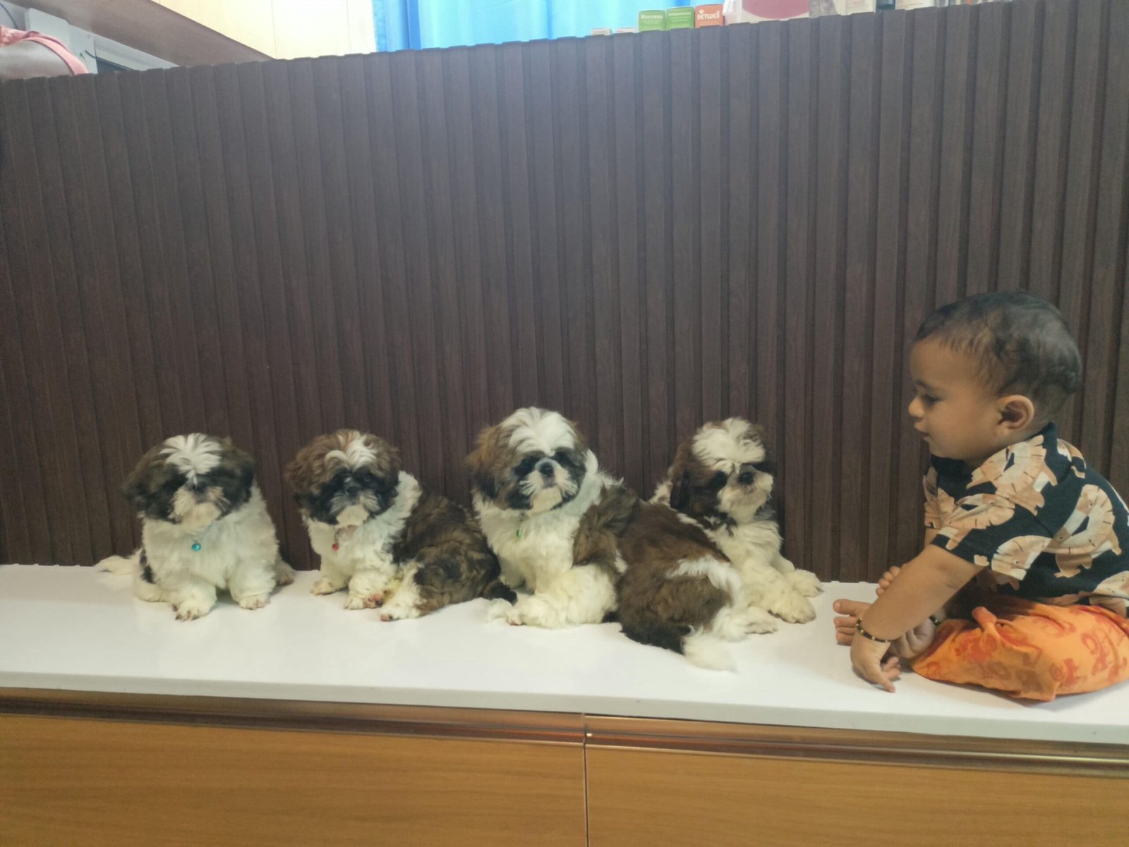 IMG-20250716-WA0054cmp